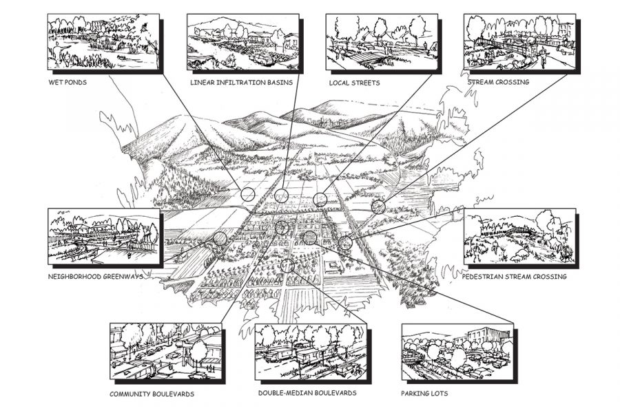 test-vision-web